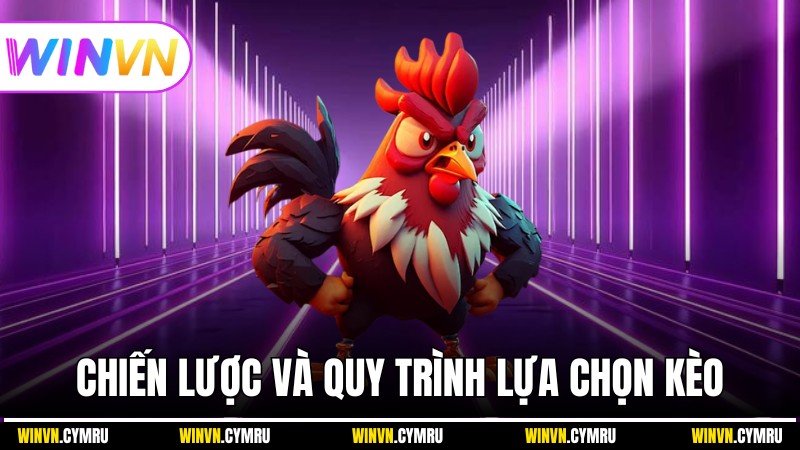 Chiến lược và quy trình lựa chọn kèo dựa trên đá gà đòn