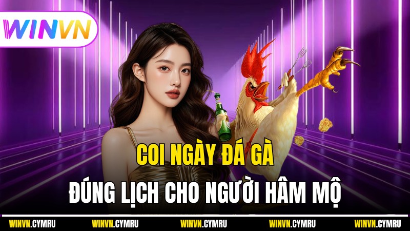 Winvn - Coi Ngày Đá Gà Đúng Lịch Cho Người Hâm Mộ