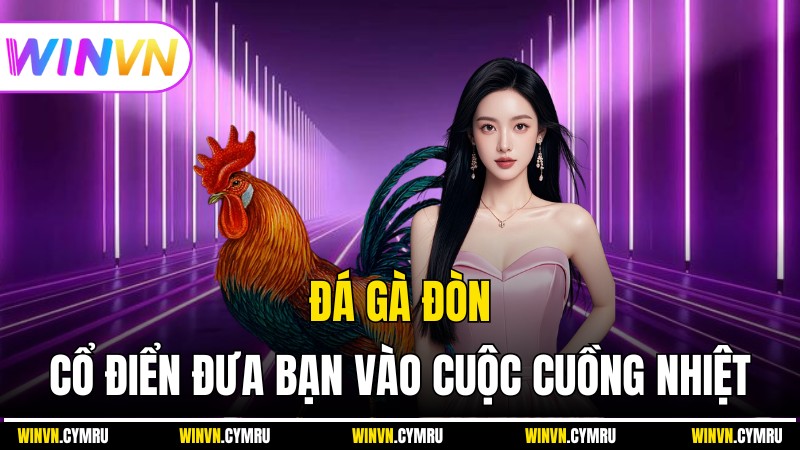 Winvn - Đá Gà Đòn Cổ Điển Đưa Bạn Vào Cuộc Cuồng Nhiệt