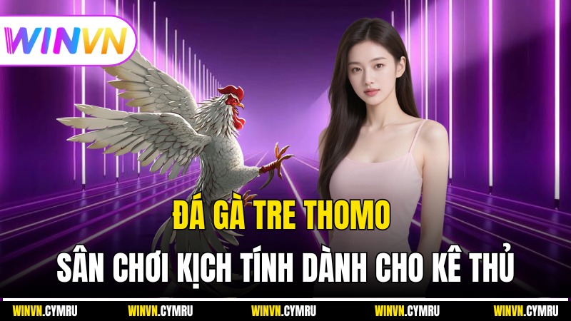 Đá Gà Tre Thomo – Sân Chơi Kịch Tính Dành Cho Kê Thủ Đam Mê