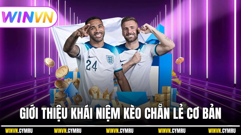 Giới thiệu khái niệm kèo chẵn lẻ cơ bản rõ ràng