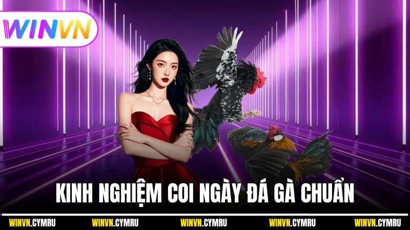 Kinh nghiệm Coi ngày đá gà chuẩn