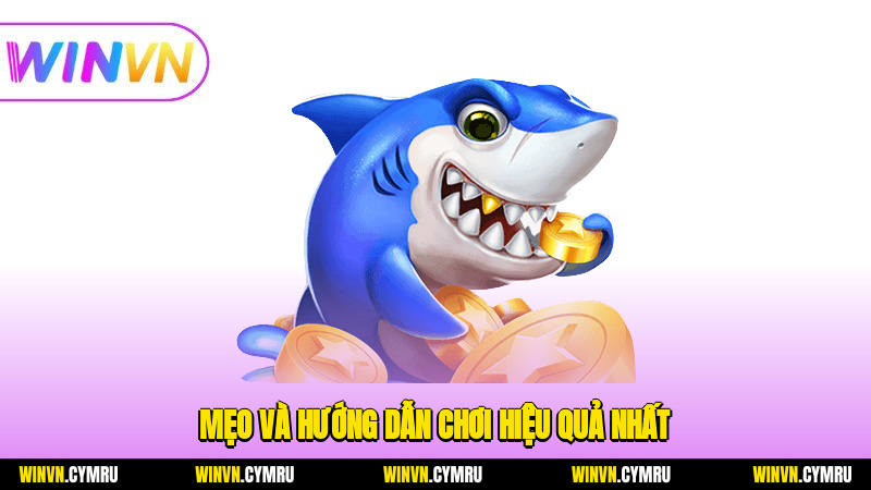 Mẹo và hướng dẫn chơi hiệu quả nhất