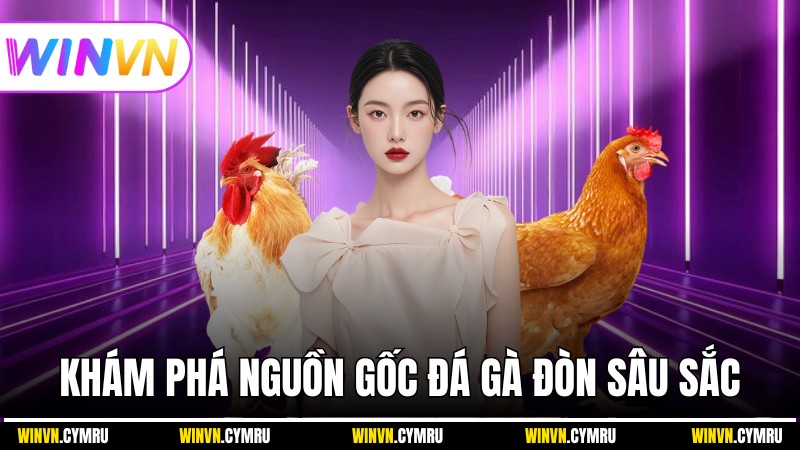 Khám phá nguồn gốc đá gà đòn sâu sắc