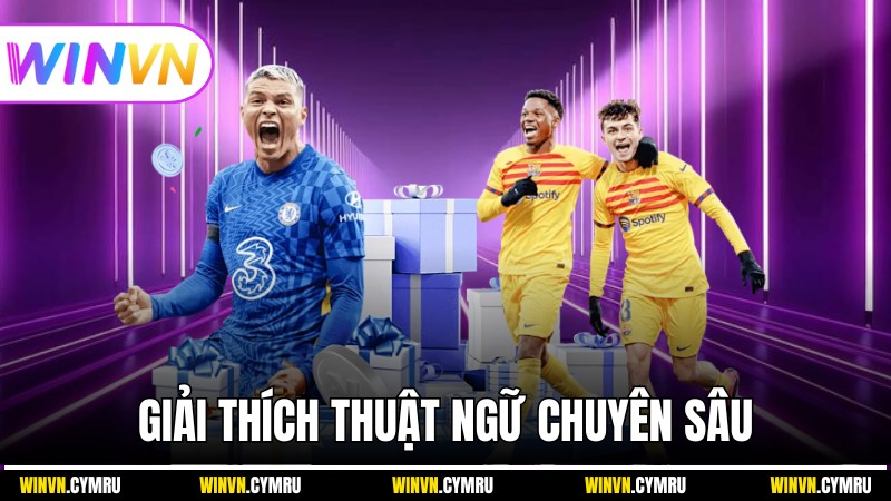 Giải thích thuật ngữ chuyên sâu