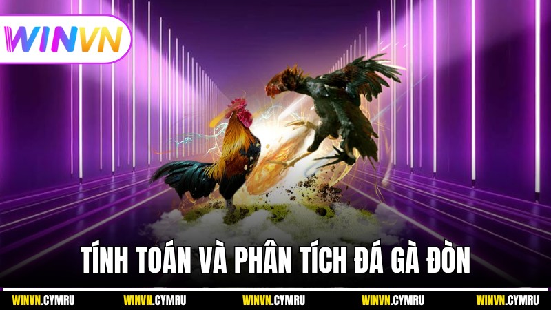 Phương pháp tính toán và phân tích đá gà đòn